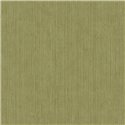 Caselio|Papier peint effet fibre naturelle verte pour salon|Couleurs Unies