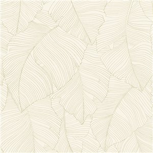 As Creation|Wallpaper white and black bamboo forest|Wallpaper