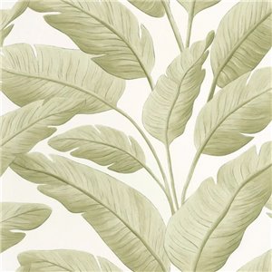 Papeldecor|Unpainted mustard-colored wall effect wallpaper|Wallpaper