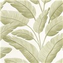 Caselio|Papel pintado hojas de banano tropical verde|Tropical