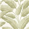 Caselio|Papel pintado hojas de banano tropical verde|Tropical