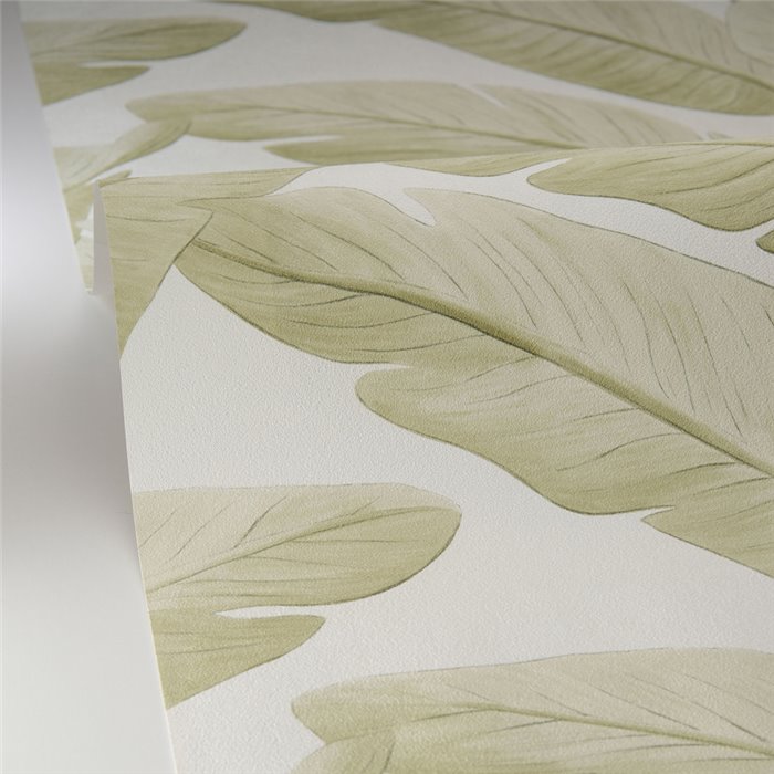 Caselio|Papel pintado hojas de banano tropical verde|Tropical