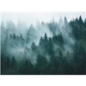 Papeldecor|Wandbild nebliger Wald|Wandbild