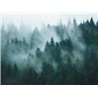 Papeldecor|Papier peint panoramique forêt brumeuse|Panoramiques