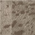 Elitis|Papier peint vinyle peau de léopard gris taupe|Ethnique