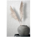 Marburg|Wallpaper light gray plaster effect with an aged look|Concrete Imitation