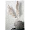 Marburg|Wallpaper light gray plaster effect with an aged look|Concrete Imitation