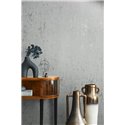 Marburg|Papel pintado cemento gris y plata, estilo industrial|Imitacion Hormigón
