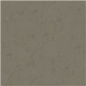 Marburg|Wallpaper texture high-end brown plaster look|Stucco Imitation