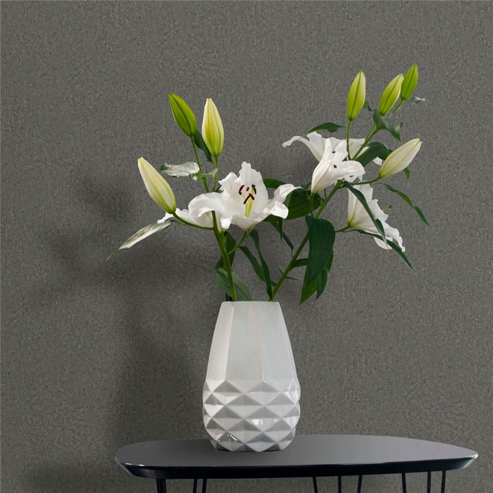 Marburg|Modern dark gray plastered wallpaper|Concrete Imitation