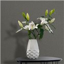 Marburg|Modern dark gray plastered wallpaper|Concrete Imitation