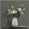 Marburg|Modern dark gray plastered wallpaper|Concrete Imitation