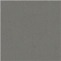 Marburg|Modern dark gray plastered wallpaper|Concrete Imitation
