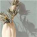 Marburg|Modern green plaster stucco wallpaper|Concrete Imitation