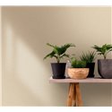 Marburg|Wallpaper woven wicker, beige raffia, and modern white|Raffia Imitation