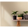 Marburg|Papier Peint osier tressé, raphia beige et blanc moderne|Imitation Raphia