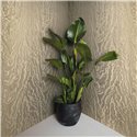 Marburg|Wallpaper modern golden silk effect|Metallics