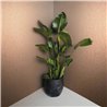 Marburg|Wallpaper smooth modern orange chrome effect|Wallpaper