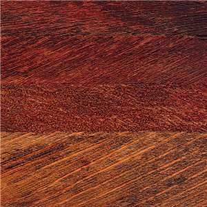 Casamance|Moderne Tapete Farne weiß-grün exklusives Design|Tapeten