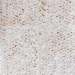 Elitis|Tapete in goldener Korboptik mit luxuriösem Finish|Tapeten