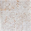 Elitis|Silver and bronze wicker-effect wallpaper with contemporary air|Wallpaper
