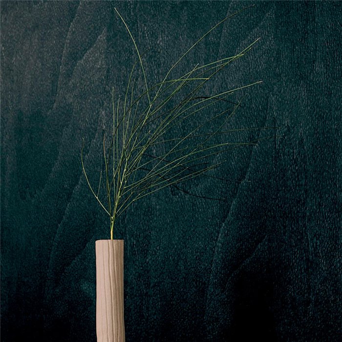 Papel pintado textura de madera gris oscura y vinilo gofrado contemporáneo - Élitis Bois sculpté VP93680