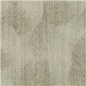 Elitis|Papier peint effet bois avec anneaux vert grisâtre|Papier Peint