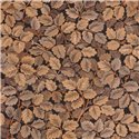 Casadeco|Papier peint automnal avec imprimé de feuilles tons marron|Floral