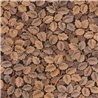 Casadeco|Papier peint automnal avec imprimé de feuilles tons marron|Floral