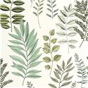 Caselio|Papel pintado estilo botánico con hojas dibujadas|Floral