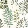 Caselio|Papel pintado estilo botánico con hojas dibujadas|Floral