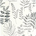 Caselio|Papier peint botanique avec gravures de feuilles en noir et blanc|Floral