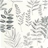 Caselio|papel pintado botánico, grabados de hojas blanco y negro|Floral