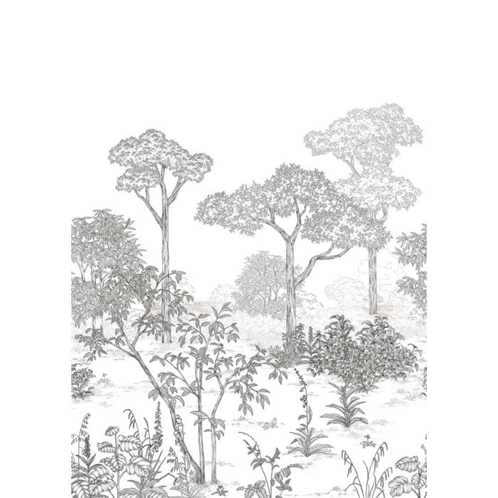 Caselio|Mural pared bosque tipo grabado blanco negro|Murales de Pared
