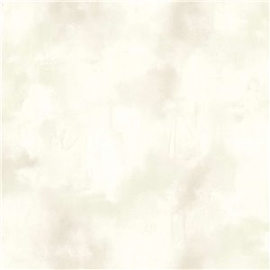Elitis|Dark green stucco wallpaper with lime paint look|Stucco Imitation