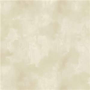 Elitis|Dark green stucco wallpaper with lime paint look|Stucco Imitation