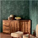 Elitis|Dark green stucco wallpaper with lime paint look|Stucco Imitation