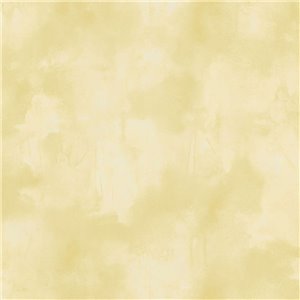 Elitis|Dark green stucco wallpaper with lime paint look|Stucco Imitation