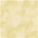 Elitis|Papier peint stuc plâtre jaune effet chaulé|Papier Peint