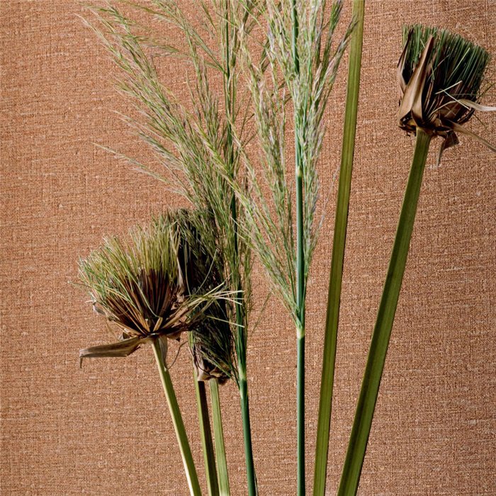 Elitis|Papier peint imitation lin couleur terre cuite|Couleurs Unies