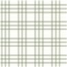 Cristiana Masi|Child's wallpaper with Scottish plaid in sage green|Children's