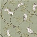 Cristiana Masi|Papier Peint fleurs japonaises vert|Fleurs Japonaises