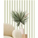 Cristiana Masi Top Stripes 38452