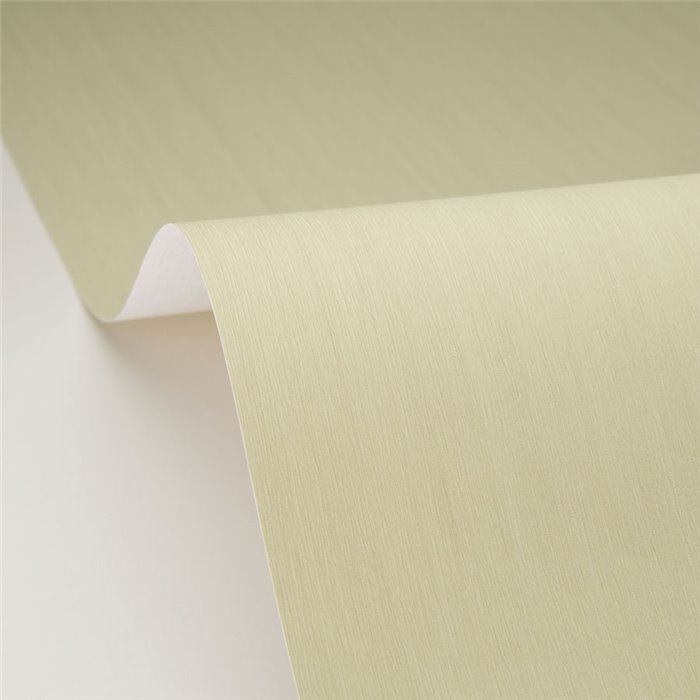 Wood-effect wallpaper in green - Caselio Woodline 106807007