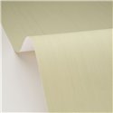 Papier peint effet bois coloris vert - Caselio Woodline 106807007