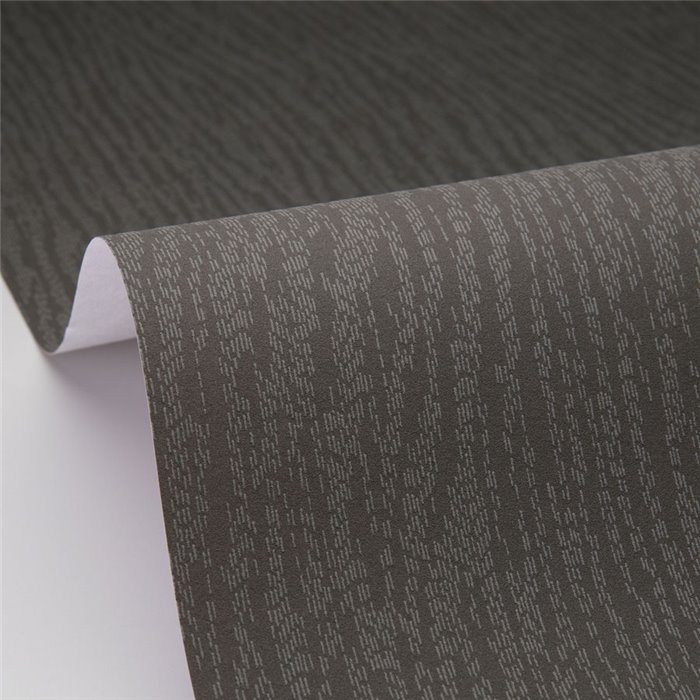 Papier peint bois en relief style élégant coloris noir - Caselio Woodline 106819099