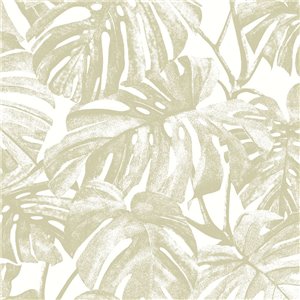 Floral monstera-leaf wallpaper in green glossy - Casadeco RIO 201797777