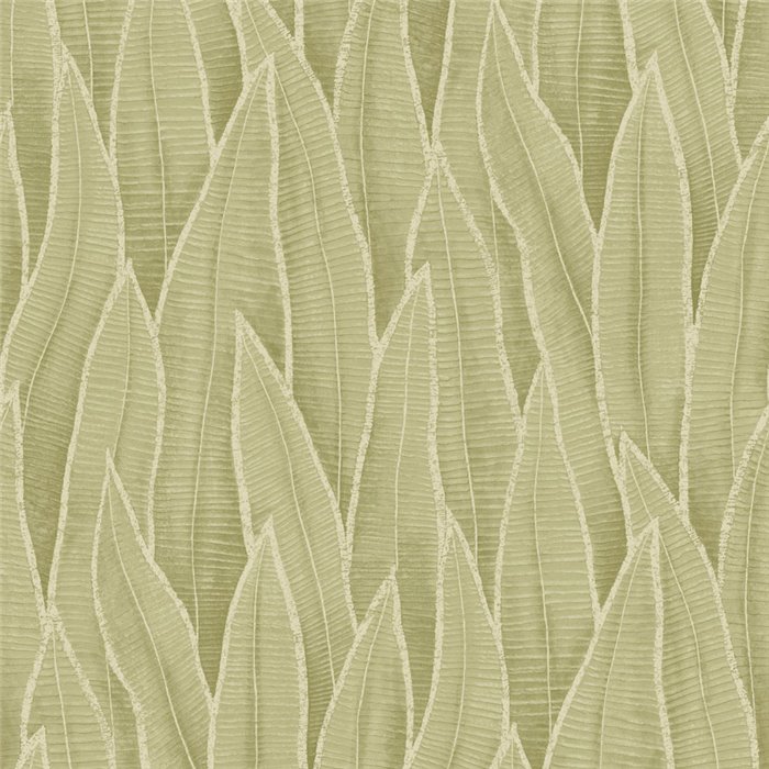 Tapete floral große sansevieria-blätter hellgrün - Casadeco RIO 201837260