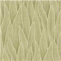 Floral sansevieria-large-leaf wallpaper in light green - Casadeco RIO 201837260