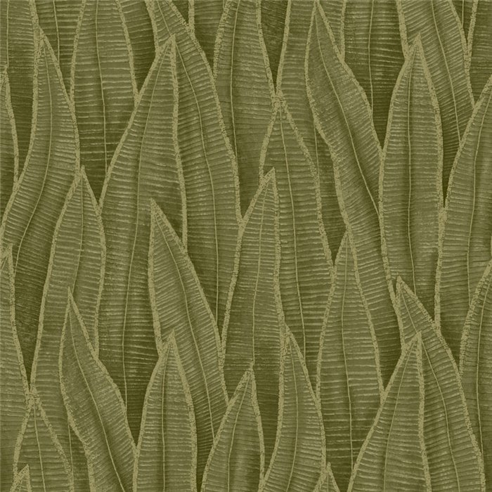 Tapete floral große sansevieria-blätter kaki-grün - Casadeco RIO 201837807